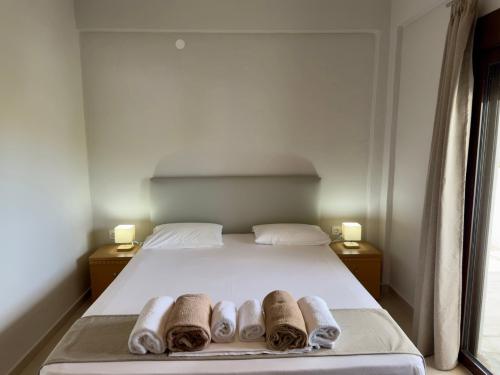 apartmentno3_3